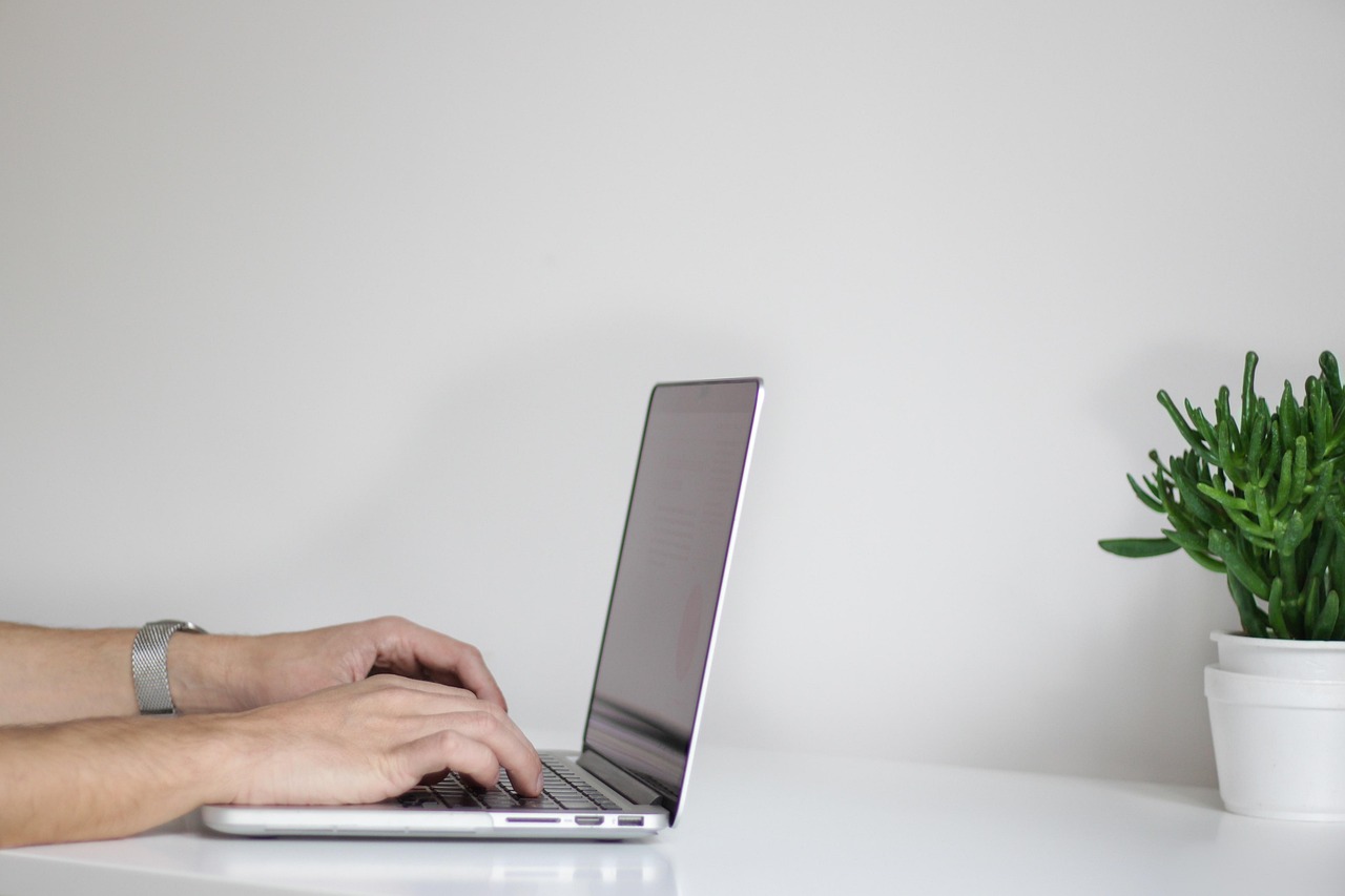 An owner's hands type on a silver laptop at a white desk against a plain wall, with a green plant in a white pot beside it